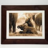 Elephant print framed in handmade and stained rough wood frame